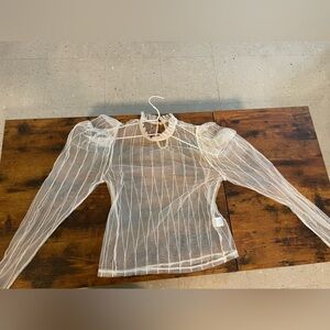 Elegant Sheer cream Blouse
